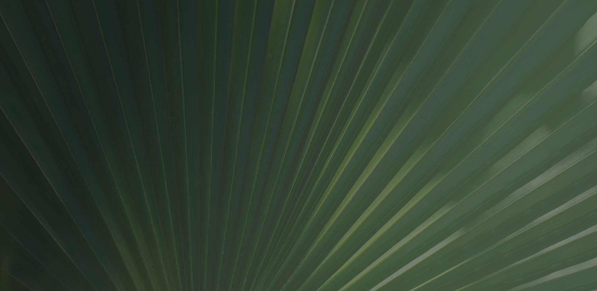 Facials hero bg