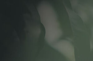 Hero homepage 300x197