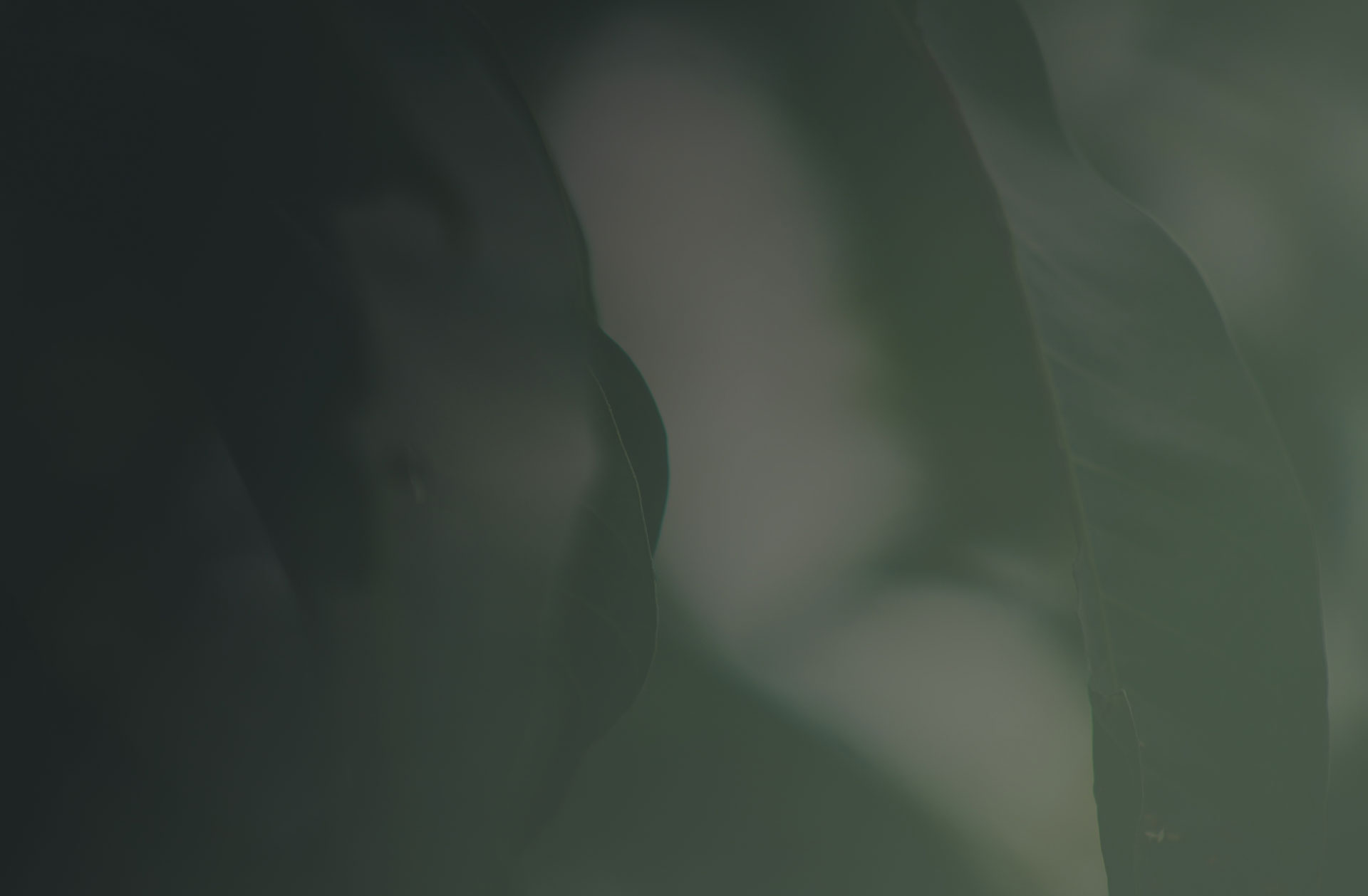 Hero homepage