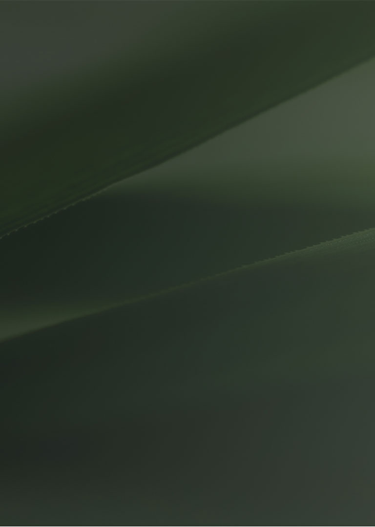 Spa treatments bg sm