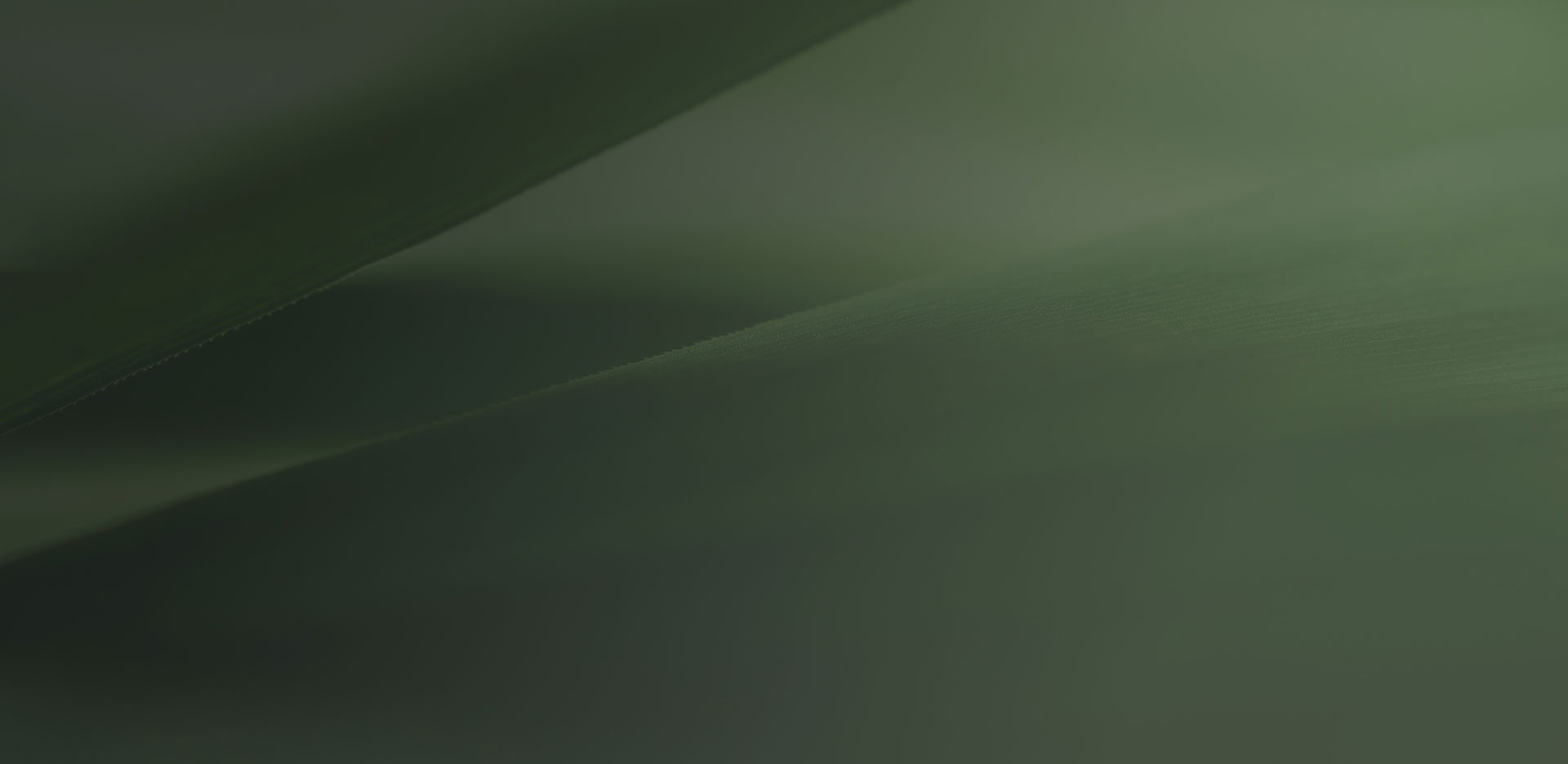 Spa treatments bg
