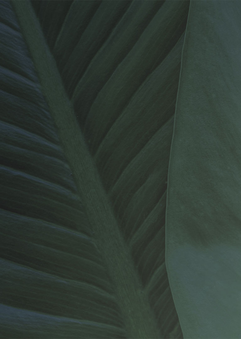Green leves bg sm